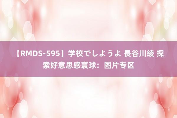 【RMDS-595】学校でしようよ 長谷川綾 探索好意思感寰球：图片专区