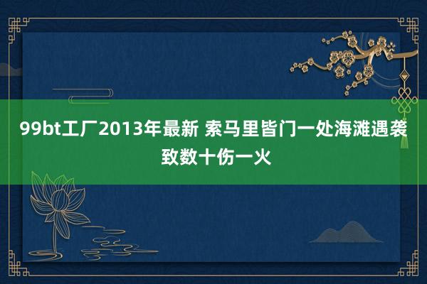 99bt工厂2013年最新 索马里皆门一处海滩遇袭 致数十伤一火