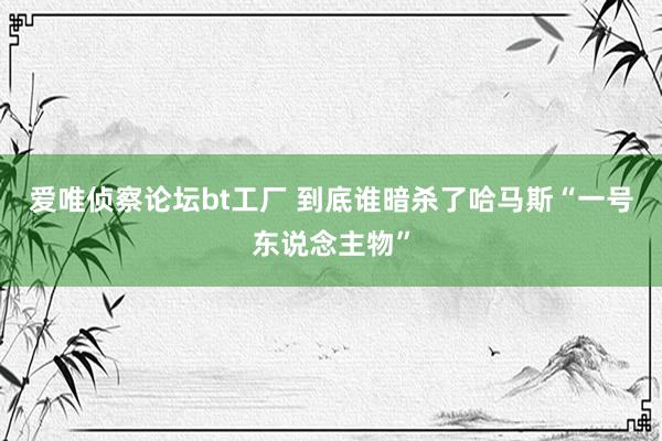 爱唯侦察论坛bt工厂 到底谁暗杀了哈马斯“一号东说念主物”