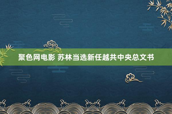 聚色网电影 苏林当选新任越共中央总文书