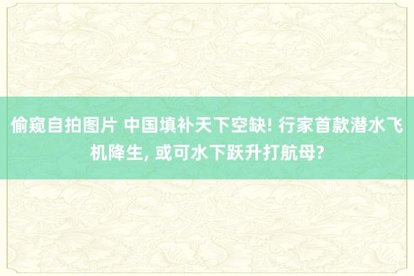 偷窥自拍图片 中国填补天下空缺! 行家首款潜水飞机降生, 或可水下跃升打航母?