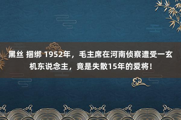 黑丝 捆绑 1952年，毛主席在河南侦察遭受一玄机东说念主，竟是失散15年的爱将！