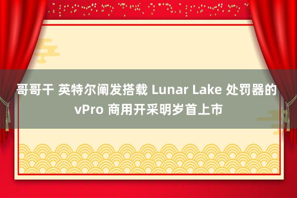 哥哥干 英特尔阐发搭载 Lunar Lake 处罚器的 vPro 商用开采明岁首上市