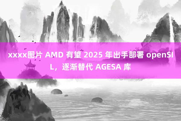 xxxx图片 AMD 有望 2025 年出手部署 openSIL，逐渐替代 AGESA 库