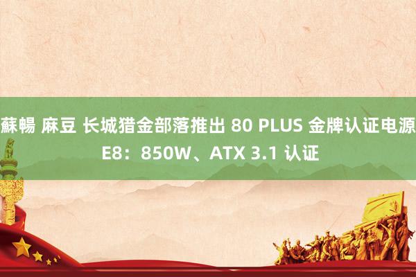 蘇暢 麻豆 长城猎金部落推出 80 PLUS 金牌认证电源 E8：850W、ATX 3.1 认证