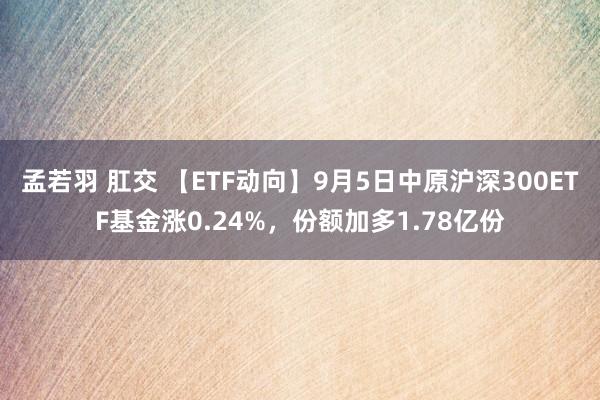 孟若羽 肛交 【ETF动向】9月5日中原沪深300ETF基金涨0.24%，份额加多1.78亿份