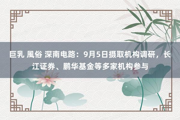 巨乳 風俗 深南电路：9月5日摄取机构调研，长江证券、鹏华基金等多家机构参与