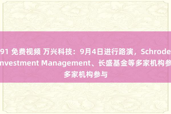 91 免费视频 万兴科技：9月4日进行路演，Schroder Investment Management、长盛基金等多家机构参与