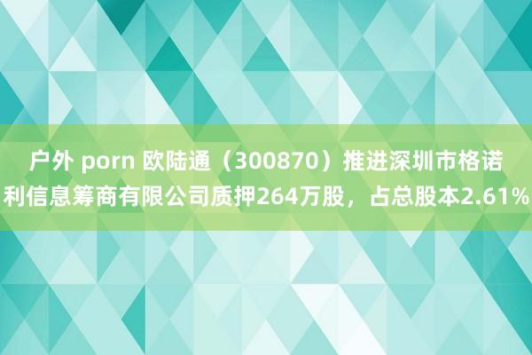 户外 porn 欧陆通（300870）推进深圳市格诺利信息筹商有限公司质押264万股，占总股本2.61%