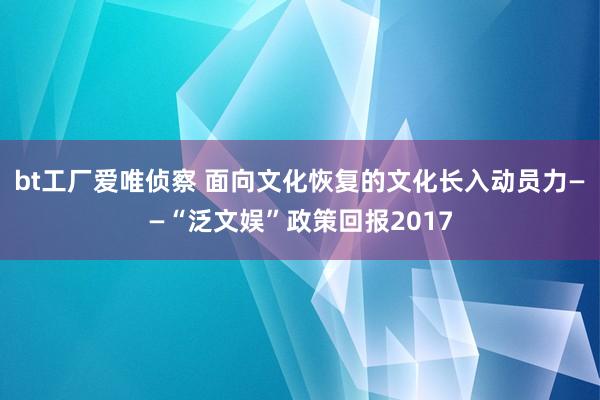 bt工厂爱唯侦察 面向文化恢复的文化长入动员力——“泛文娱”政策回报2017