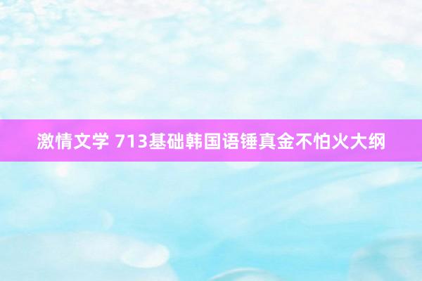 激情文学 713基础韩国语锤真金不怕火大纲