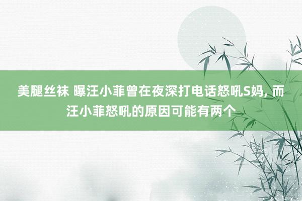 美腿丝袜 曝汪小菲曾在夜深打电话怒吼S妈, 而汪小菲怒吼的原因可能有两个
